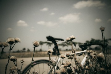 骑行泰安-3292.jpg