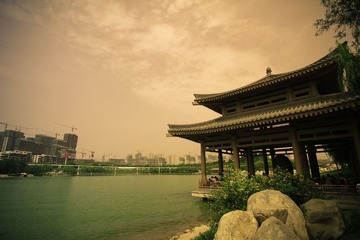 IMG_3796.jpg