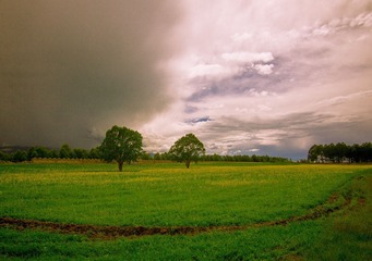 IMG_4267.jpg