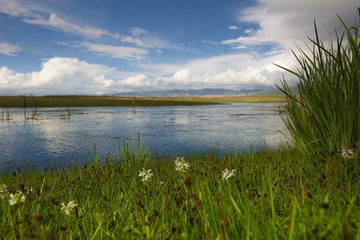IMG_4308.jpg