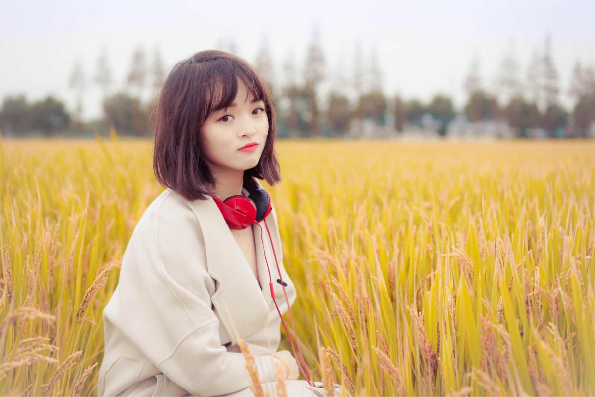 金色稻田 - 小小小艾米 - 图虫网 - 优质摄影师交流社区