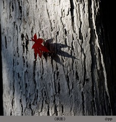 _DSC5700--