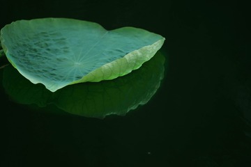 98606