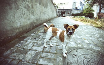 DSC_2709.jpg