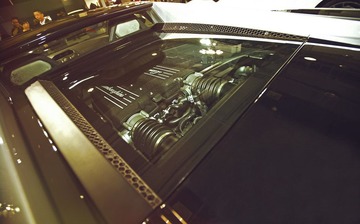 DSC_4652.jpg