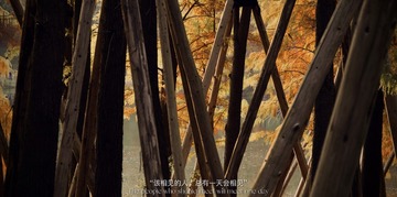 4D2BD5EC-B4C2-4B5F-A5A4-25B6DB0274A3/L0/001