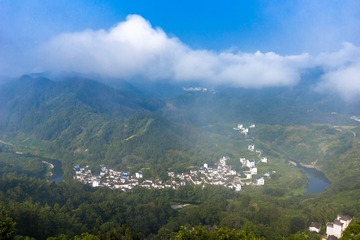 _DSC4601