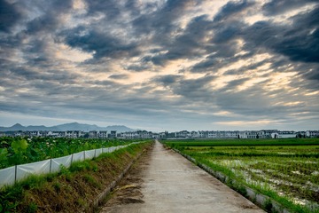 _DSC7345