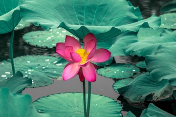 001