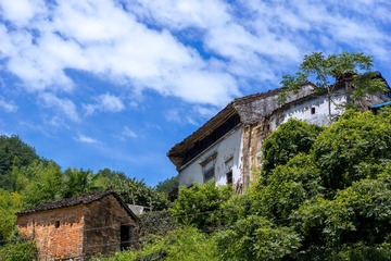 _DSC4077