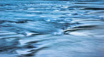 _DSC4031
