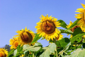 _DSC5640