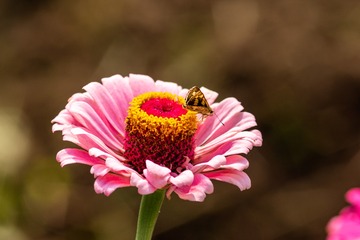 _DSC5765