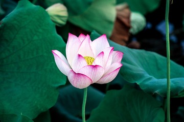 _DSC7355
