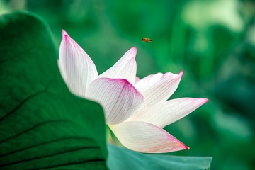 _DSC7262