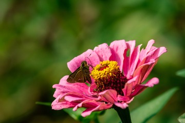 _DSC5714