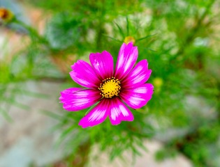 _DSC6739