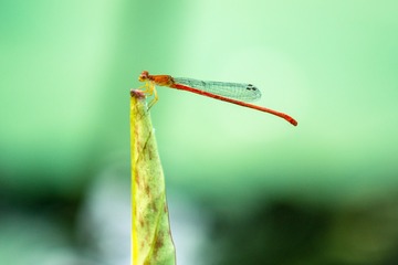 _DSC7397