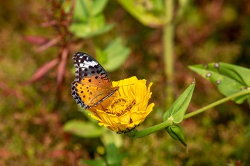 _DSC5705
