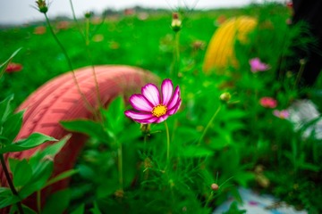 _DSC6799