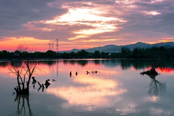 _DSC6680