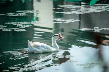 _DSC7032