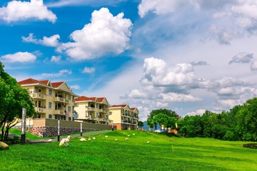 _DSC3663