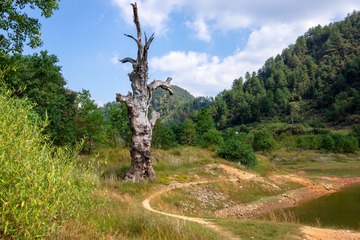 _DSC5597