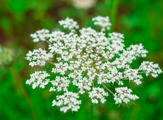 _DSC6813