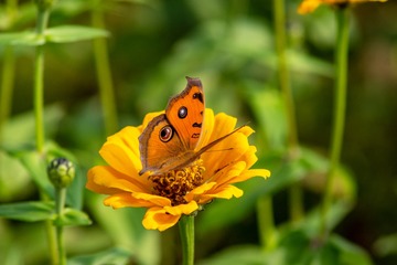 _DSC5689