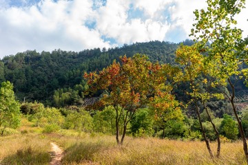 _DSC5607