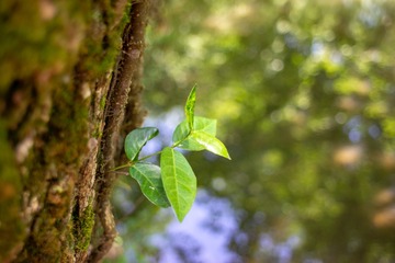 _DSC6257
