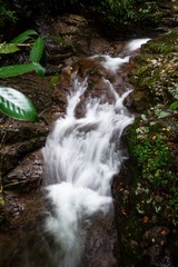 _DSC7449