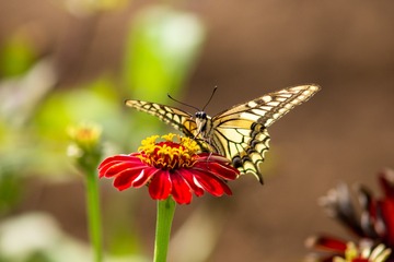 _DSC5786