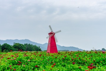 _DSC6727