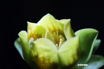 DSC02472_副本.jpg