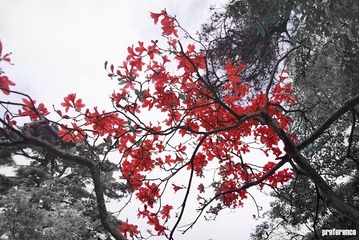 DSC03620_副本.jpg
