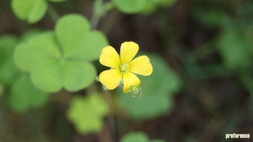 DSC03265_副本.jpg