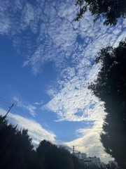 9BFD8B51-1D4F-4DF0-A0D0-1A20050EC5F8/L0/001