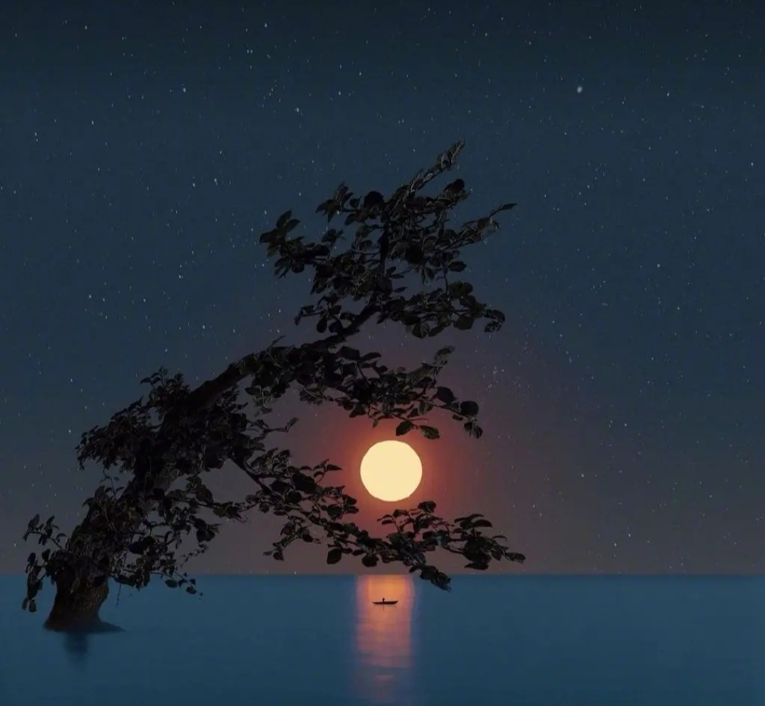 月光- 月暖若梵音 - 图虫