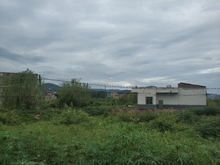 265694