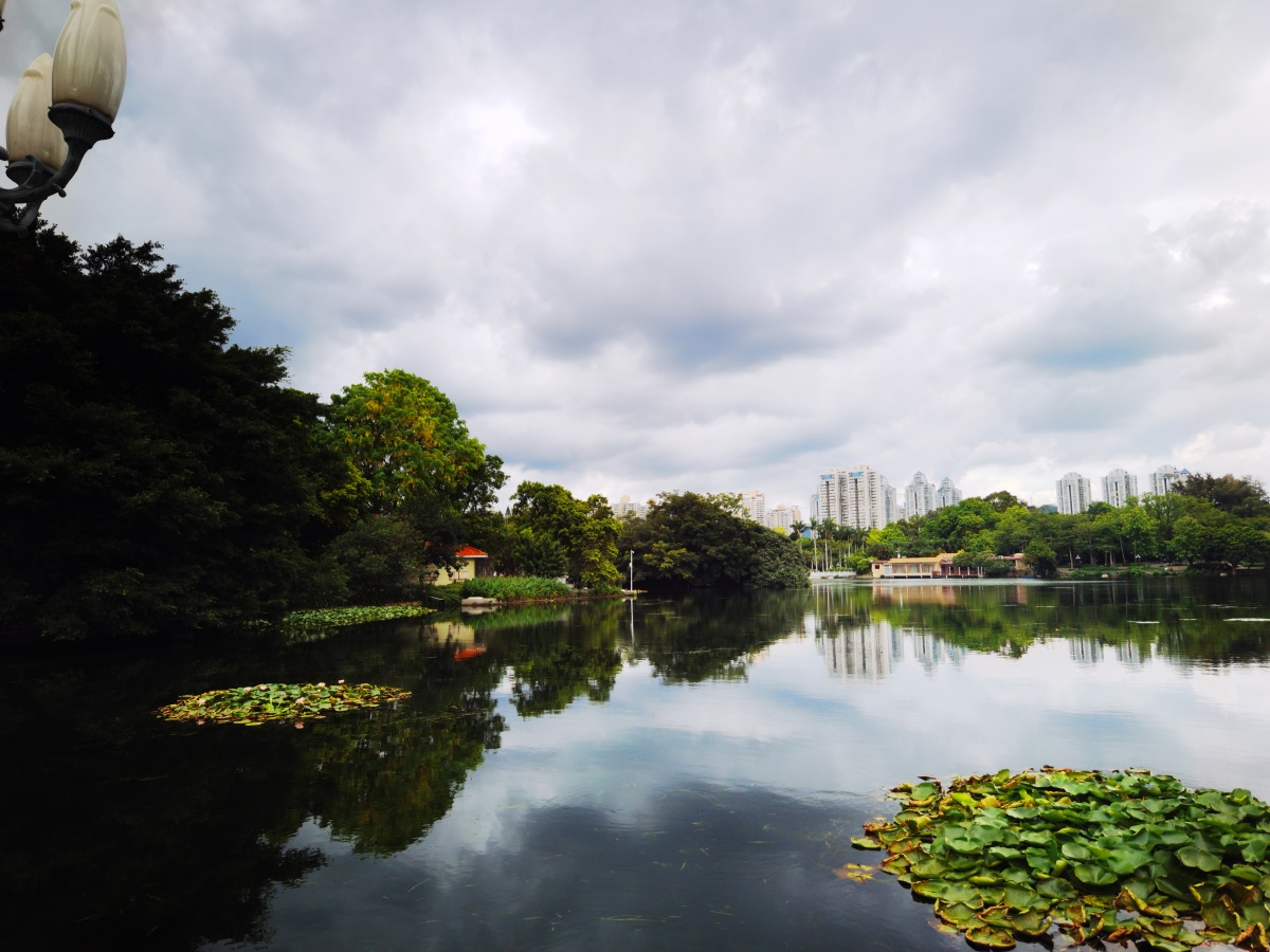 荔枝公园湖景