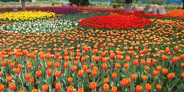 IMG_3103__conew1
