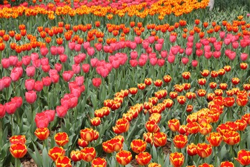 IMG_3122__conew1
