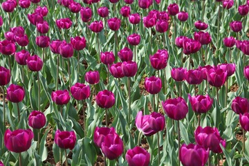 IMG_3017__conew1