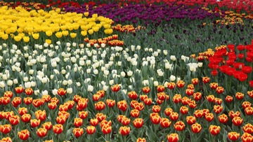 IMG_3110__conew1