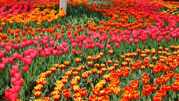IMG_3128__conew1