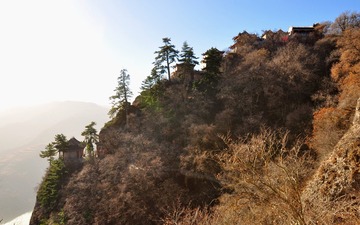 DSC_0400_conew1