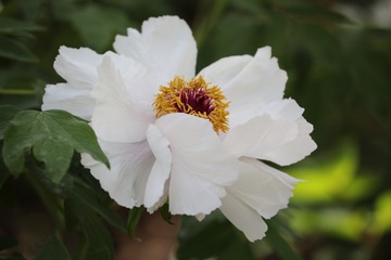 OC2A4925