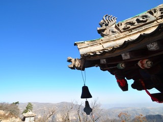 DSC_0774_conew1